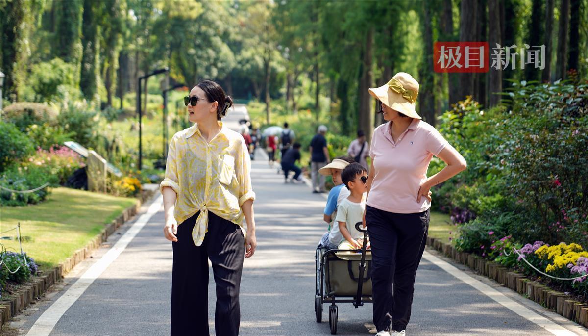 免费彩金白菜官网